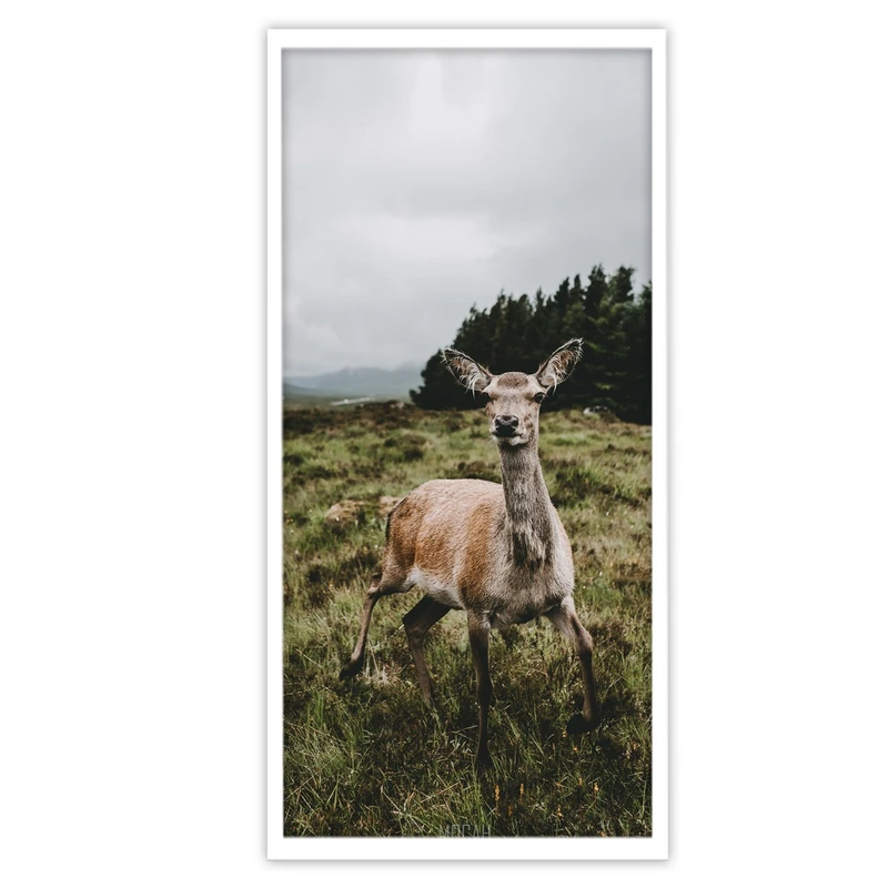 تابلو بکلیت طرح حیات وحش آهو مدل W-S3174