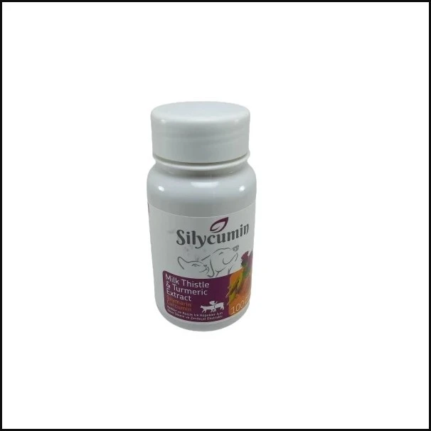 قرص درمانی کلیه و کبد سگ و گربه بایوپت اکتیو مدل Silycumin  بسته 45 عددی