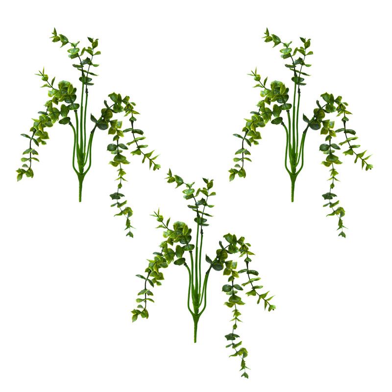 گیاه تزیینی آکواریوم مدل بوته برگ شمشاد بسته سه عددی
