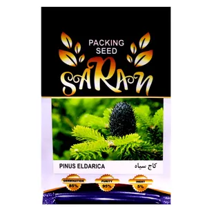 بذر درخت کاج سیاه ساران مدل MRH_125