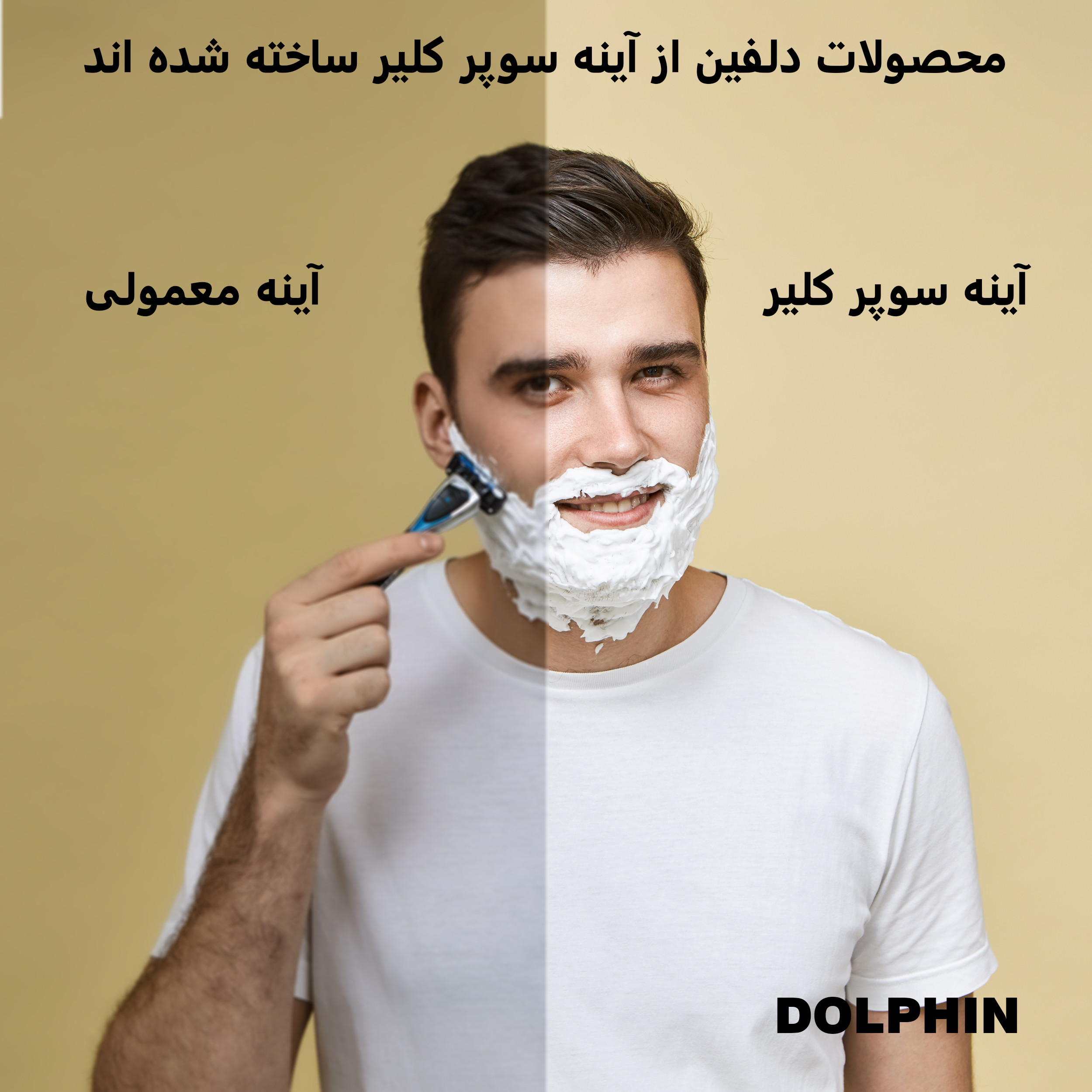 آینه سرویس بهداشتی  دلفین مدل ضدبخار HT-60x50-R