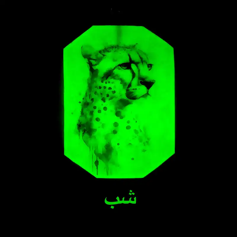 جاکلیدی مدل شب تاب B50