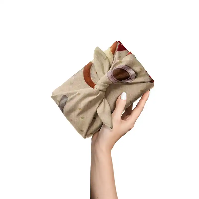 کاغذ کادو ترمه طراحان ایده مدل دختر و گربه کتابخون کد cfp1410