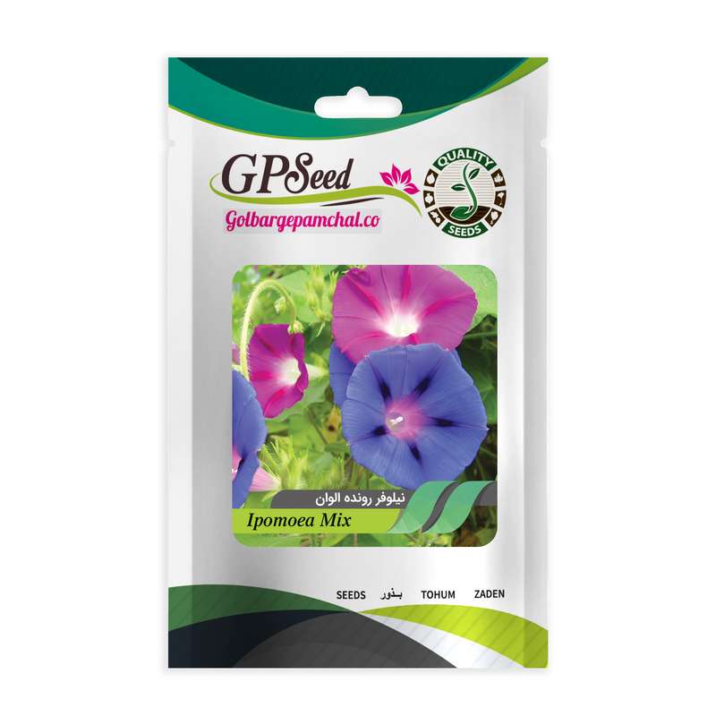 بذر گل نیلوفر رونده گلدرشت الوان گلدانی گلبرگ پامچال کد GPF-093