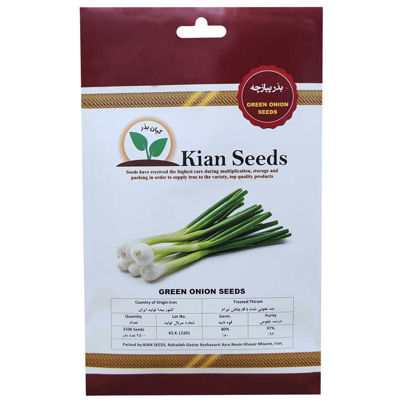 بذر پیازچه کیان بذر کد KBZ-02