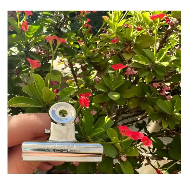 پینچر ناخن سی دی ال مدل 4S-2 مجموعه 2 عددی