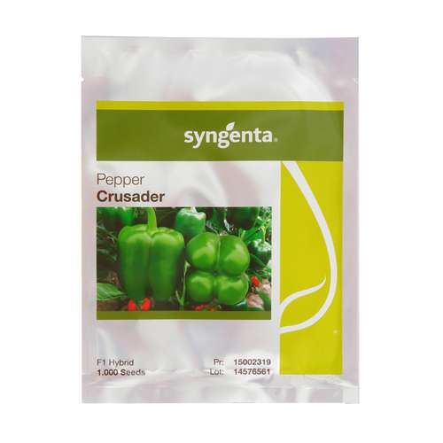بذر فلفل دلمه سینجنتا مدل کروسادر 