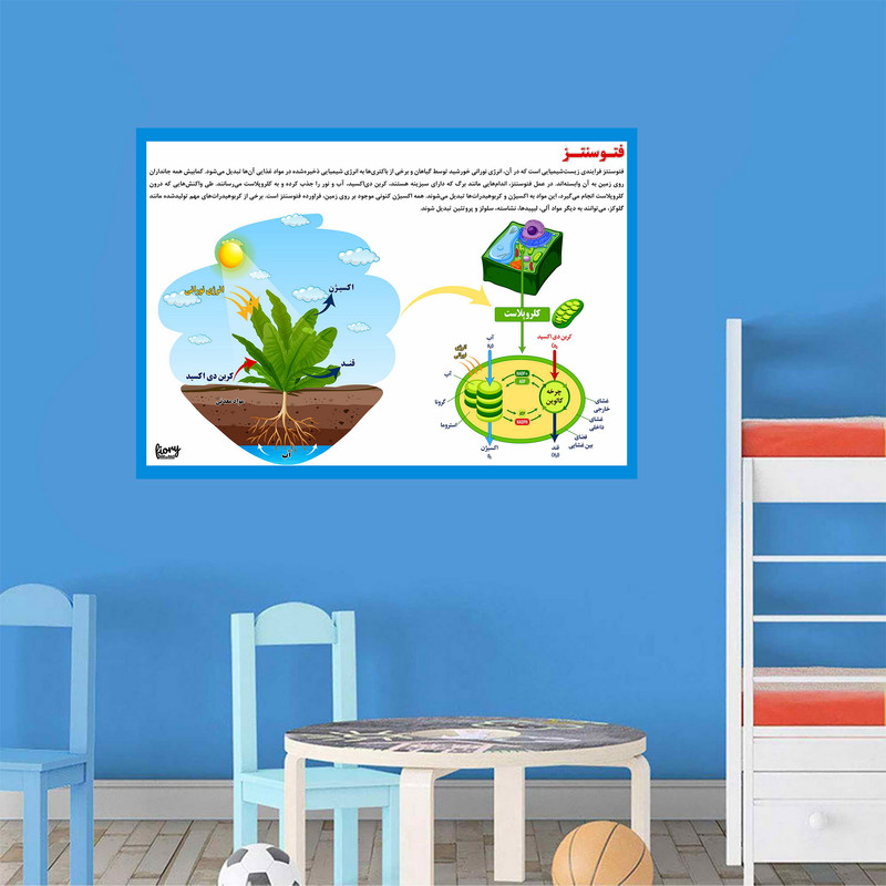 پوستر آموزشی مستر راد مدل فتو سنتز کد fiory 2311