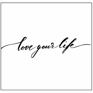 تابلو شاسی مدل زندگی را زندگی کن B23