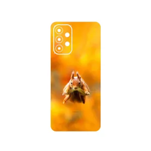 MAHOOT Squirrel Cover Sticker for Samsung Galaxy A23