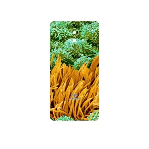 MAHOOT Atom Universe 6 Cover Sticker for Lenovo Vibe P2