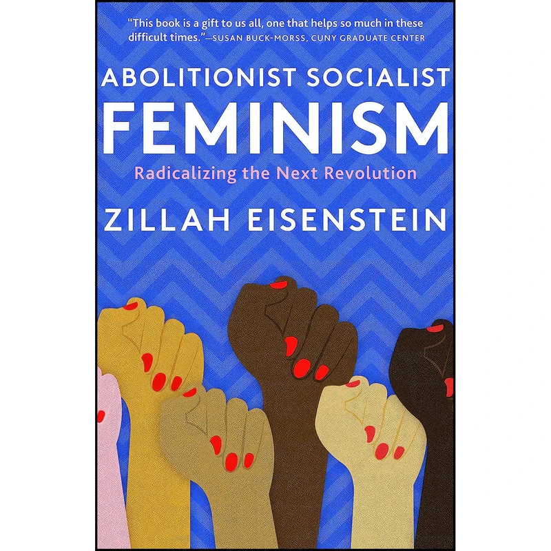 کتاب Abolitionist Socialist Feminism اثر Zillah Eisenstein انتشارات Monthly Review Press