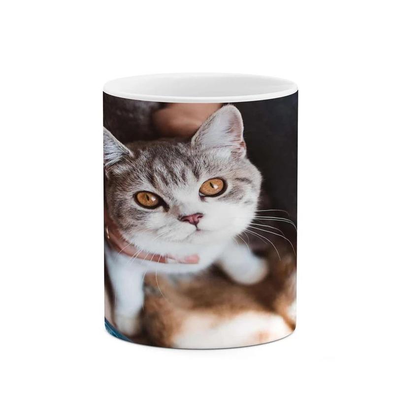 ماگ کاکتی مدل گربه کد mgh14090