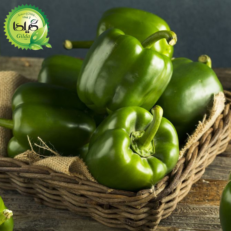 بذر فلفل دلمه سبز گیلدا کد 350