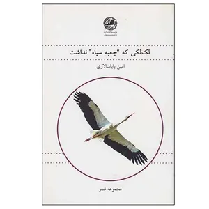 کتاب لک لکی که جعبه سیاه نداشت اثر امین باباسالاری نشر بوتیمار