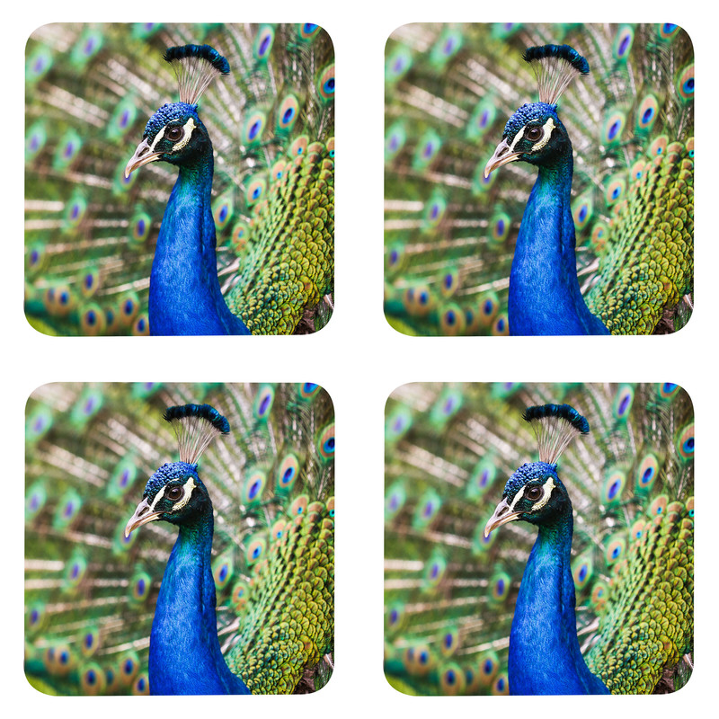 زیر لیوانی مدل Z1022 طرح پرنده طاووس بسته چهار عددی
