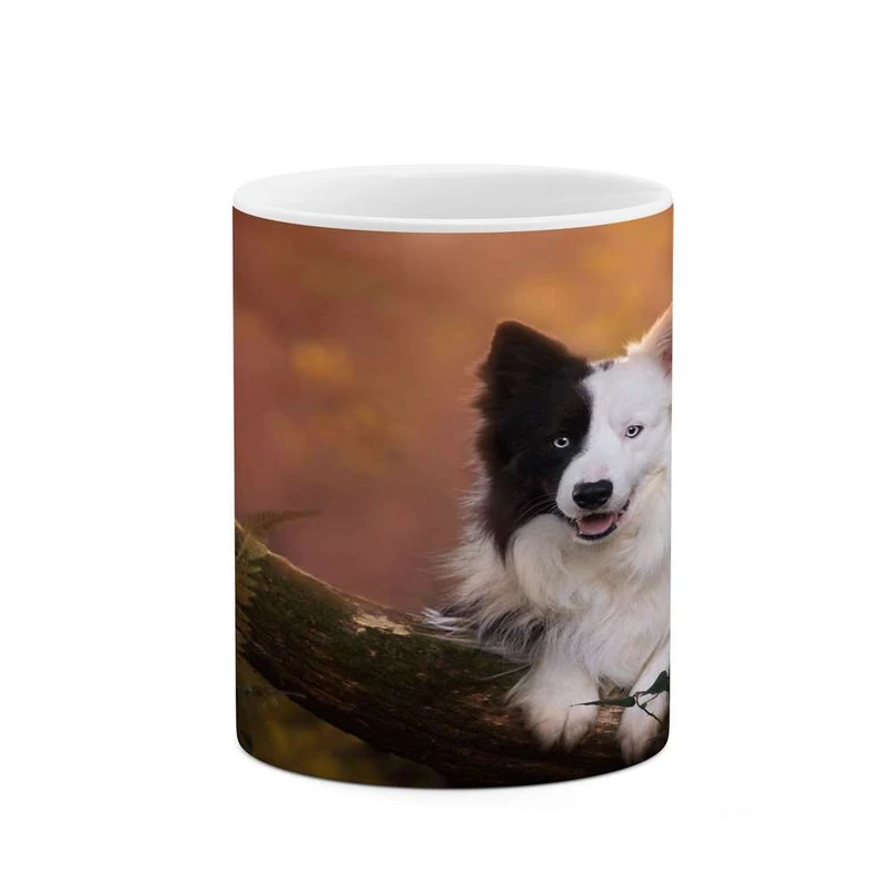 ماگ کاکتی مدل سگ کد mgh14328