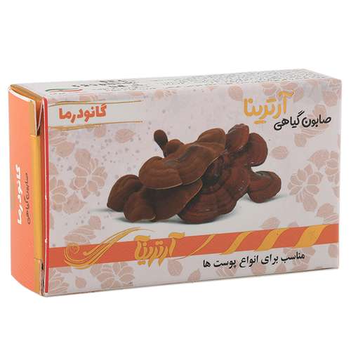 صابون شستشو آرترینا مدل گانودرما وزن 35 گرم