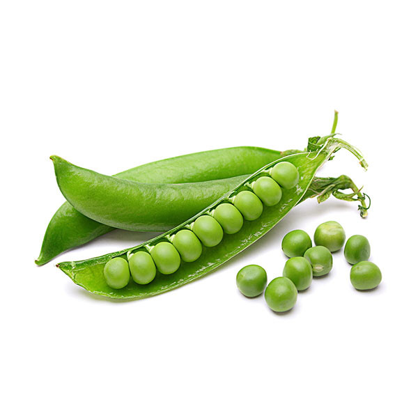 بذر نخود فرنگی درشت آرزومان کد 11513