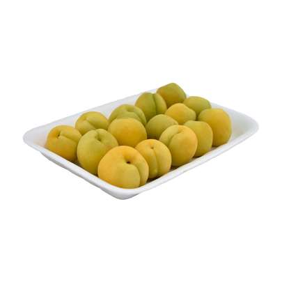 زردآلو برای سگ مفید است ؟