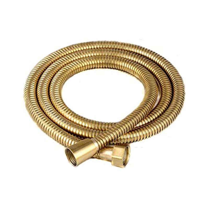 شلنگ دوش حمام دلفان مدل 009