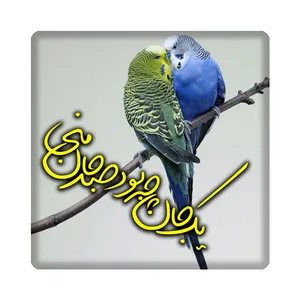 کاشی مدل شعر kh10 کد 142