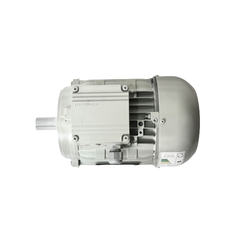 الکتروموتور صنعتی الکتروژن کد 38753 توان 0.75 کیلووات