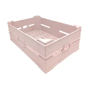 باکس نظم دهنده آریسام مدل 135