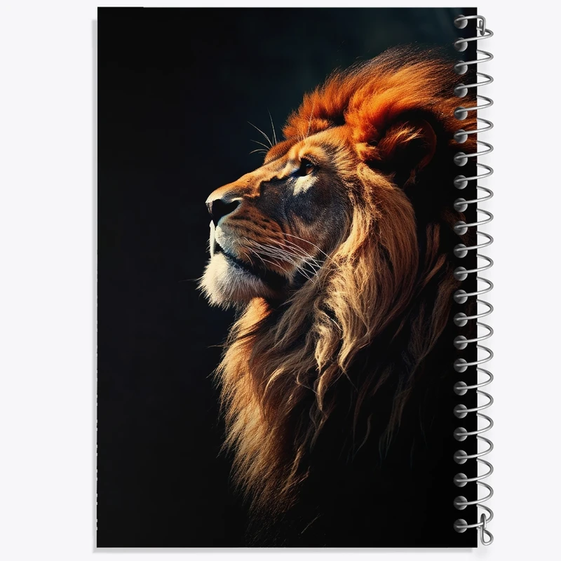 دفتر نقاشی 50 برگ خندالو طرح شیر کد F2657