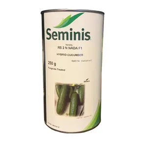 بذر خیار بوته ای سمینیس مدل 2n 