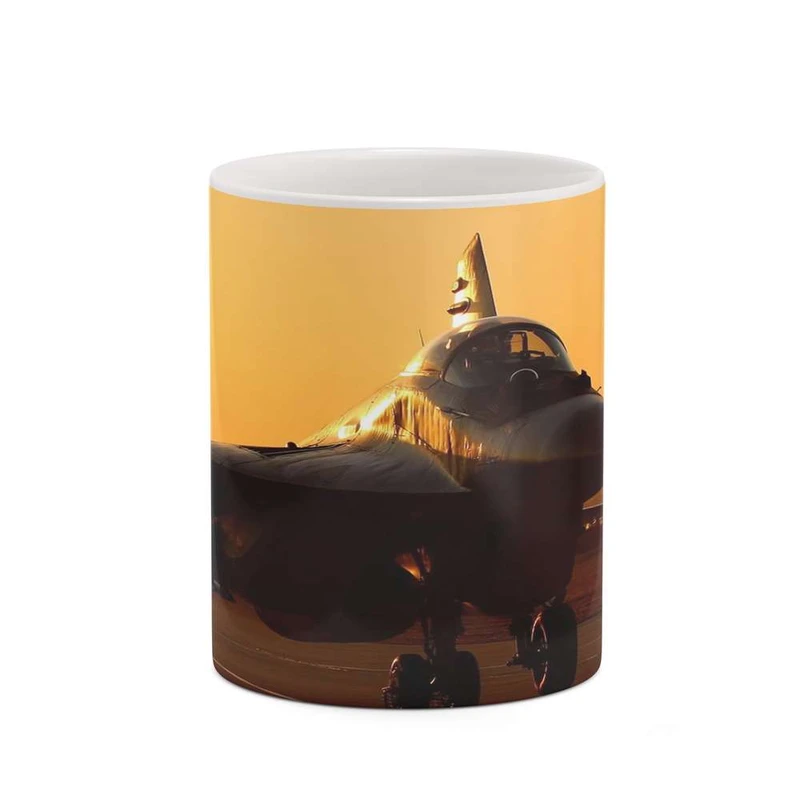 ماگ کاکتی مدل هواپیمای جنگنده کد mgh20366