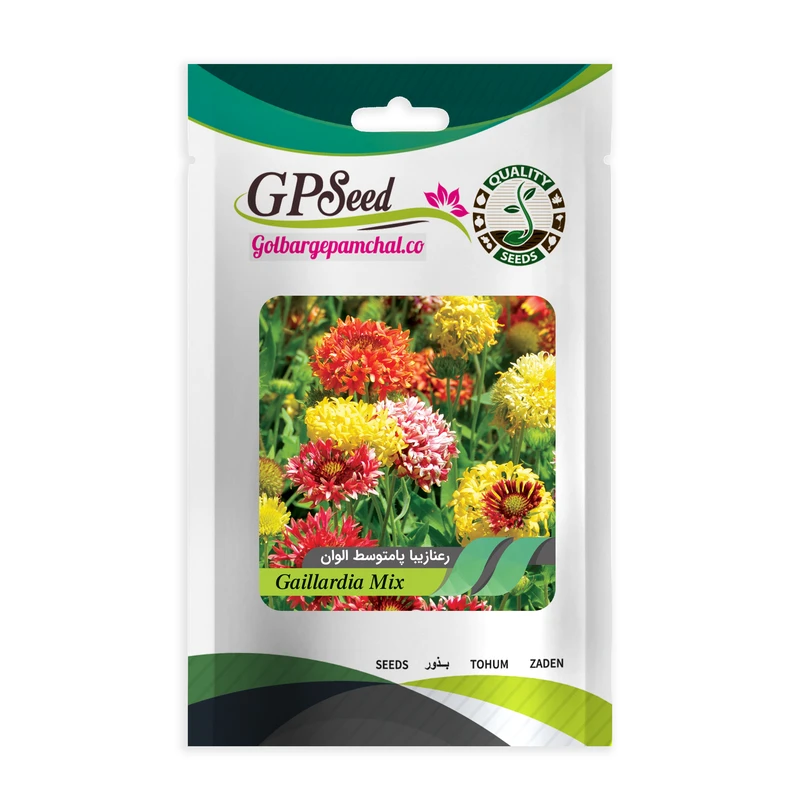 بذر گل رعنا زیبا الوان گلبرگ پامچال کد GPF-053