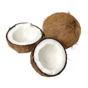 نارگیل - 3 عدد