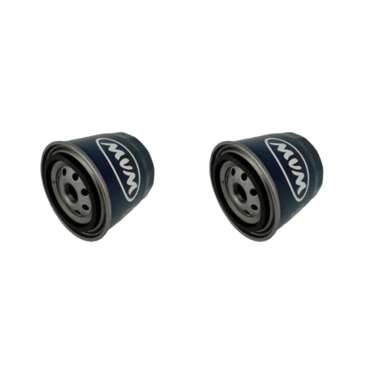 فیلتر روغن کد 23 مناسب برای ام وی ام X 33 بسته 2 عددی