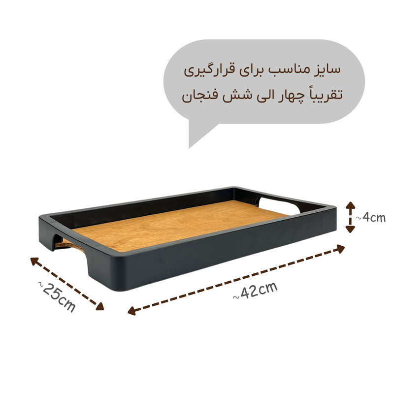 سینی مدل مستطیل کد SN17