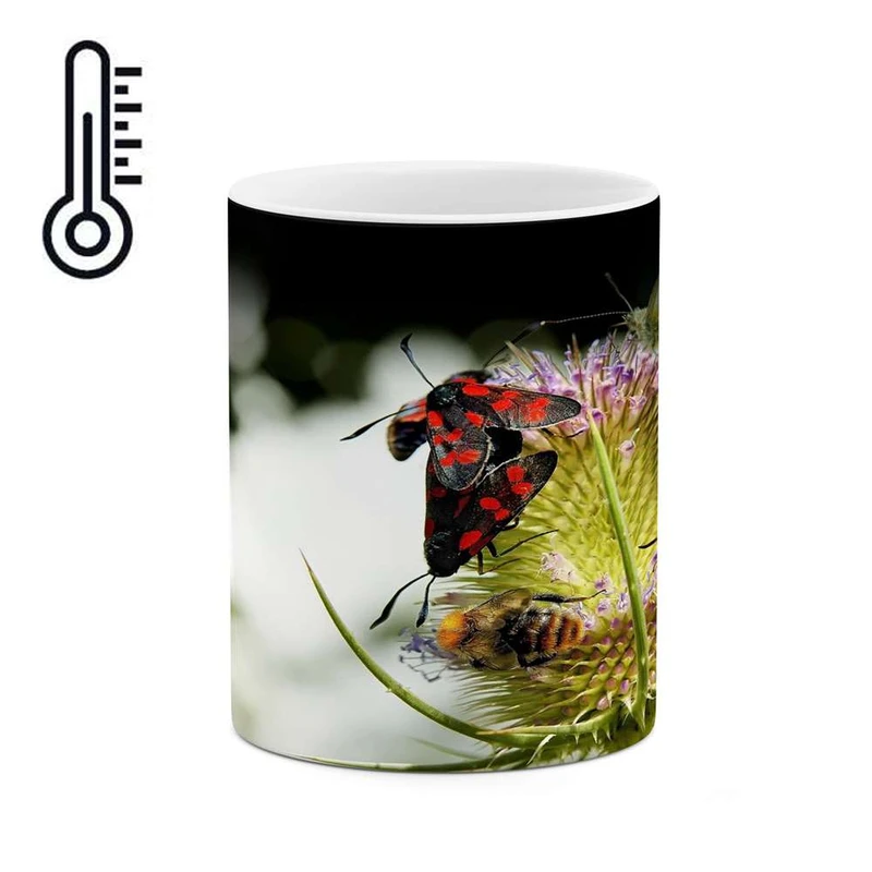 ماگ حرارتی کاکتی مدل پروانه کد mgh17715