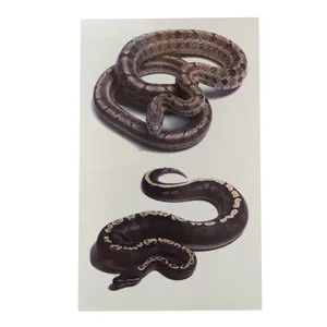 تاتو موقت طرح مار سه بعدی کد01