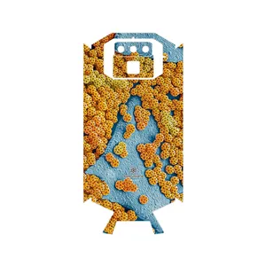 MAHOOT Atom Universe 7 Cover Sticker for Doogee S70