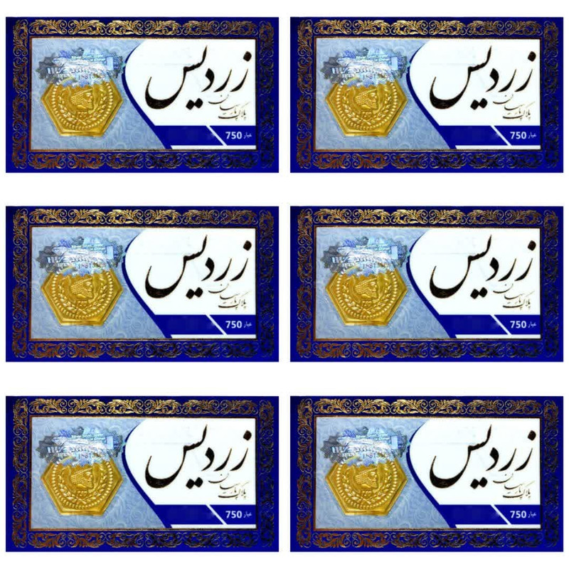 سکه گرمی 18 عیار پارسیان مدل زردیس کد s250 مجموعه 6 عددی