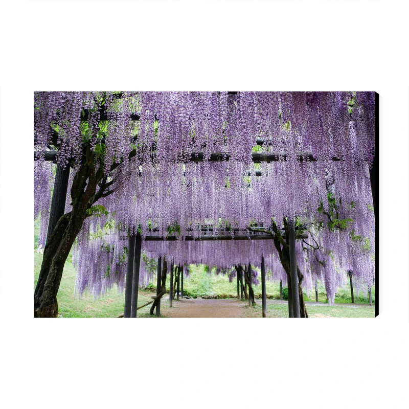 تابلو شاسی عرش طرح گردشگری ژاپن مدل باغ کاواچی ویستریا کد As6203