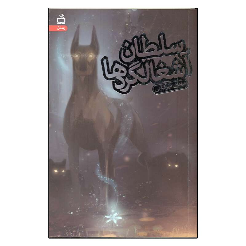 کتاب سلطان آشغالگردها اثر مهدی میرکیایی انتشارات مدرسه