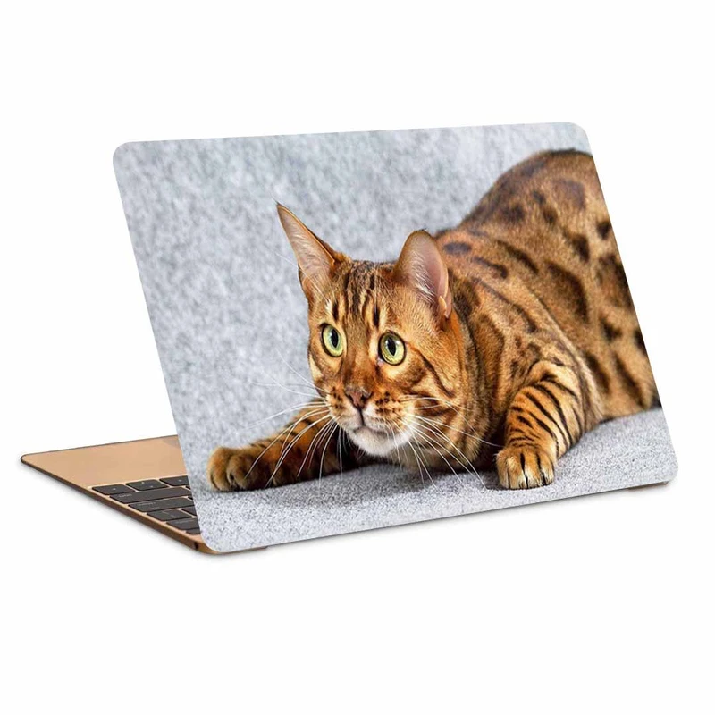 استیکر لپ تاپ طرح bengal cats wallpapers کد N-41مناسب برای لپ تاپ 15.6 اینچ