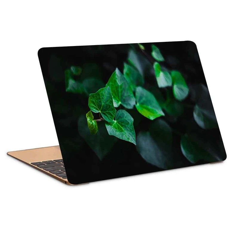 استیکر لپ تاپ طرح leaves stem plant کد P-833 مناسب برای لپ تاپ 15.6 اینچ