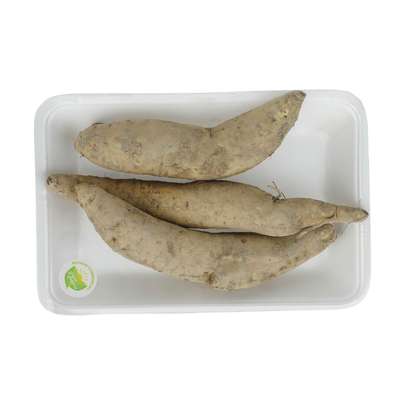 سیب زمینی شیرین وحشی از کجا تهیه کنیم؟