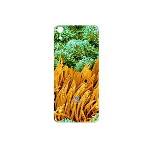 MAHOOT Atom Universe 6 Cover Sticker for HTC Desire 626