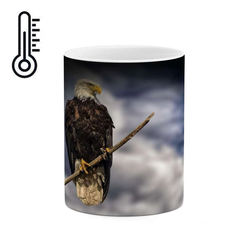 ماگ حرارتی کاکتی مدل عقاب کد mgh16037