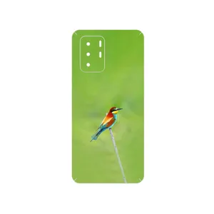 MAHOOT European bee-eater Cover Sticker for Xiaomi Poco X3 GT 5G