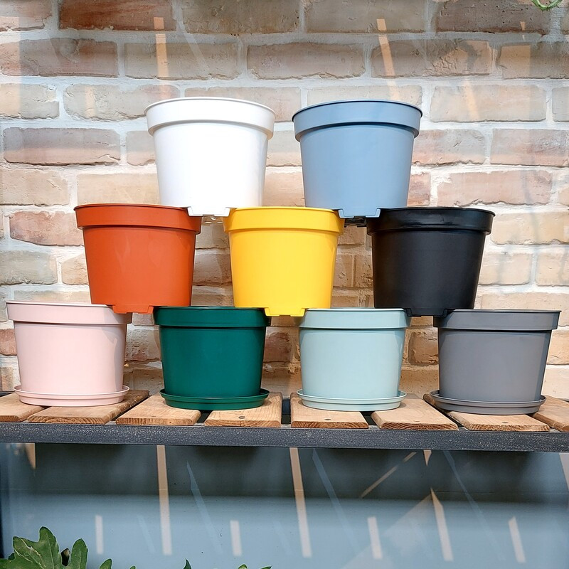 گلدان مدل پاچیرا کد 19 بسته 2 عددی