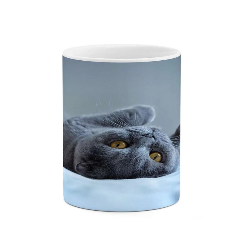 ماگ کاکتی مدل گربه کد mgh16202