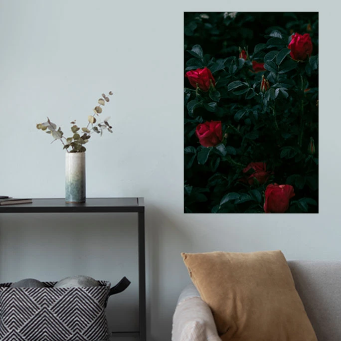 پوستر گوفی مدل والپیپر گل رز قرمز طرح طبیعت و گردشگری Nature Rose Flower 4K کد RED55